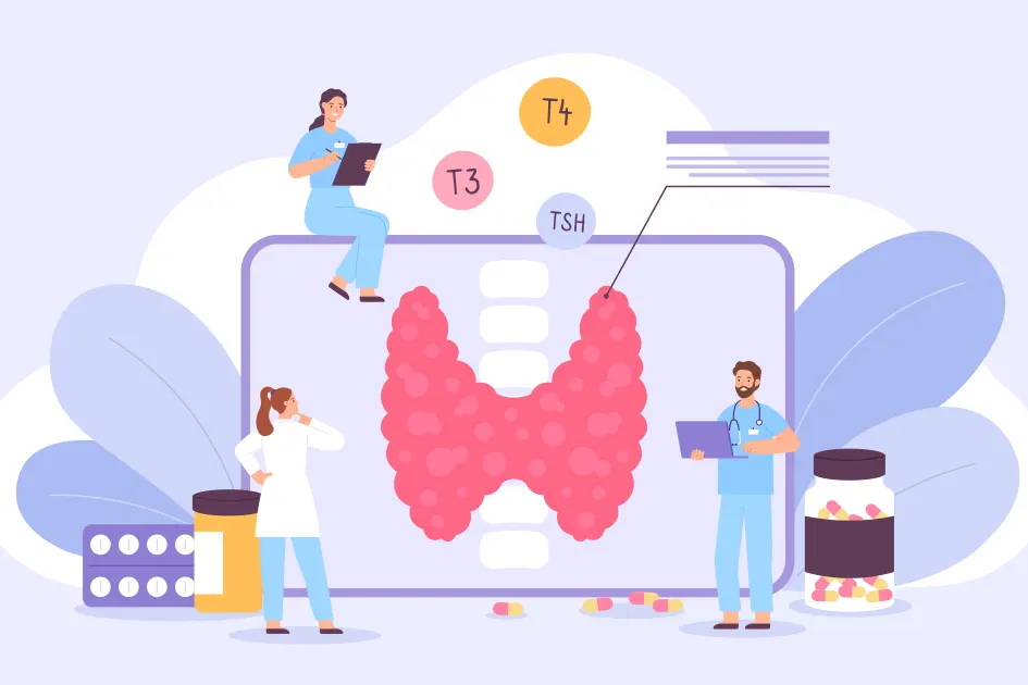 tsh normwerte was ist normal und was optimal bei kinderwunsch