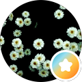 ff7a771a7d7edb89711b24485a6e5c0b