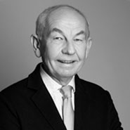 Prof. Dr. Dr. med. habil. Wolfgang Würfel